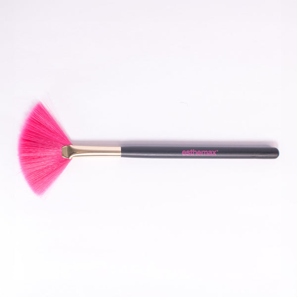 Pincel Tipo FAN BRUSH